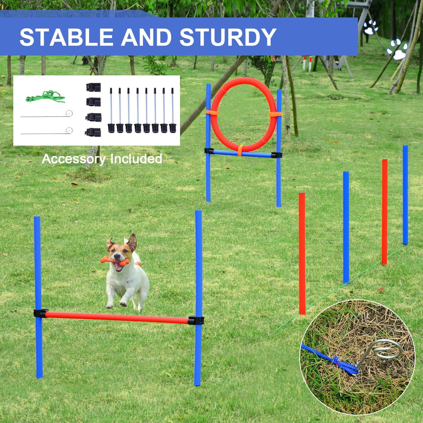 Pet Agility Training Puppy Training Adjustable Set