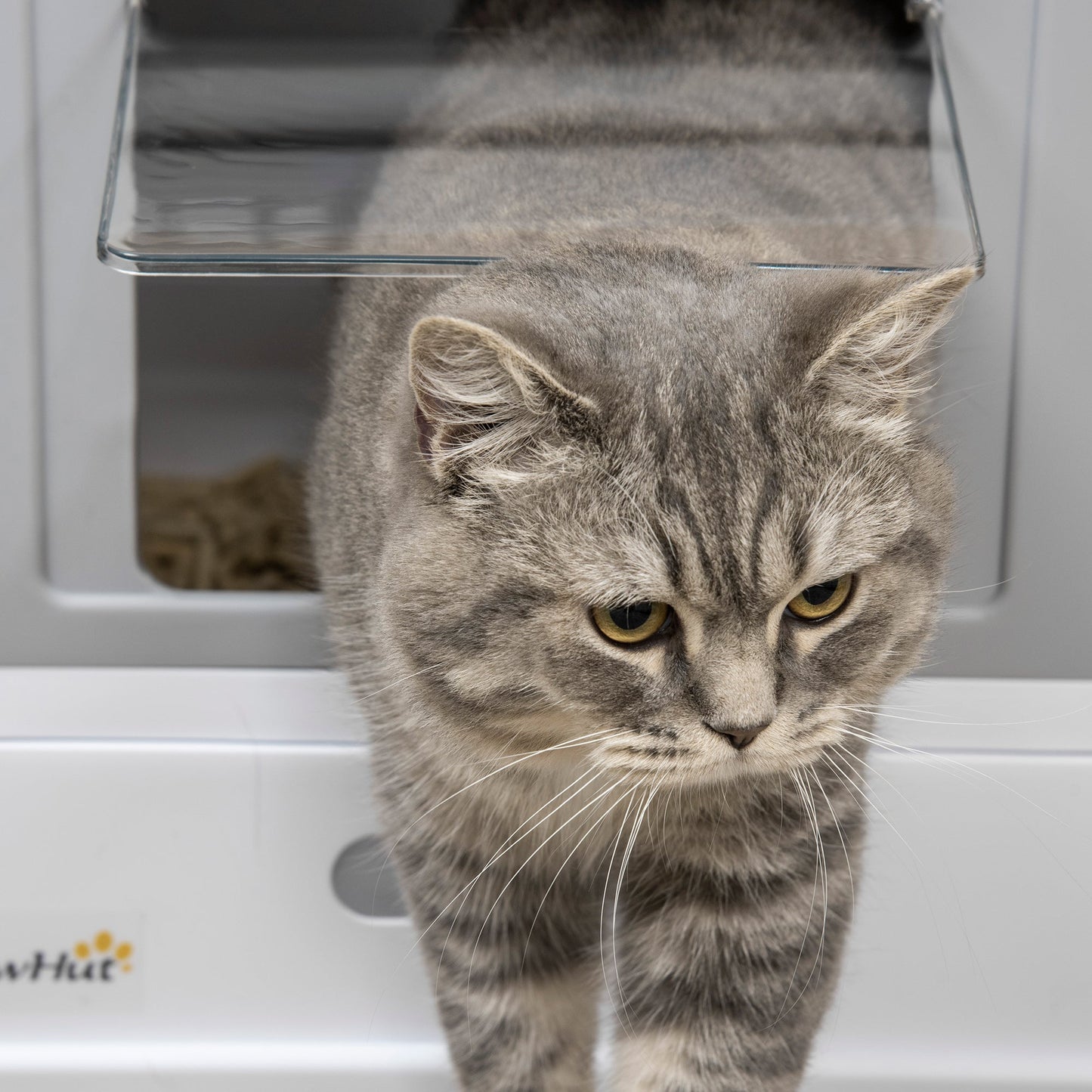 Hooded Cat Litter Box Scoop Included Litter-Tray with Front Entry Top-Exit, Portable Pet Toilet W/ Large Space, Easy Assemble, 47.5x35.5x36.7cm, Grey