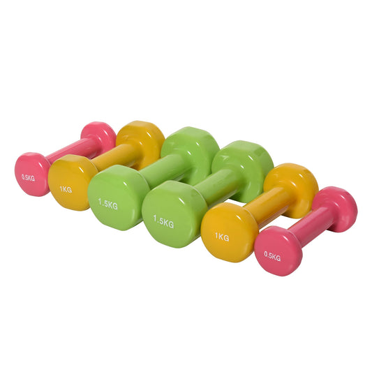 6Kg Dumbbell Set Fitness Weight Set for Men and Women Home Gym Workout