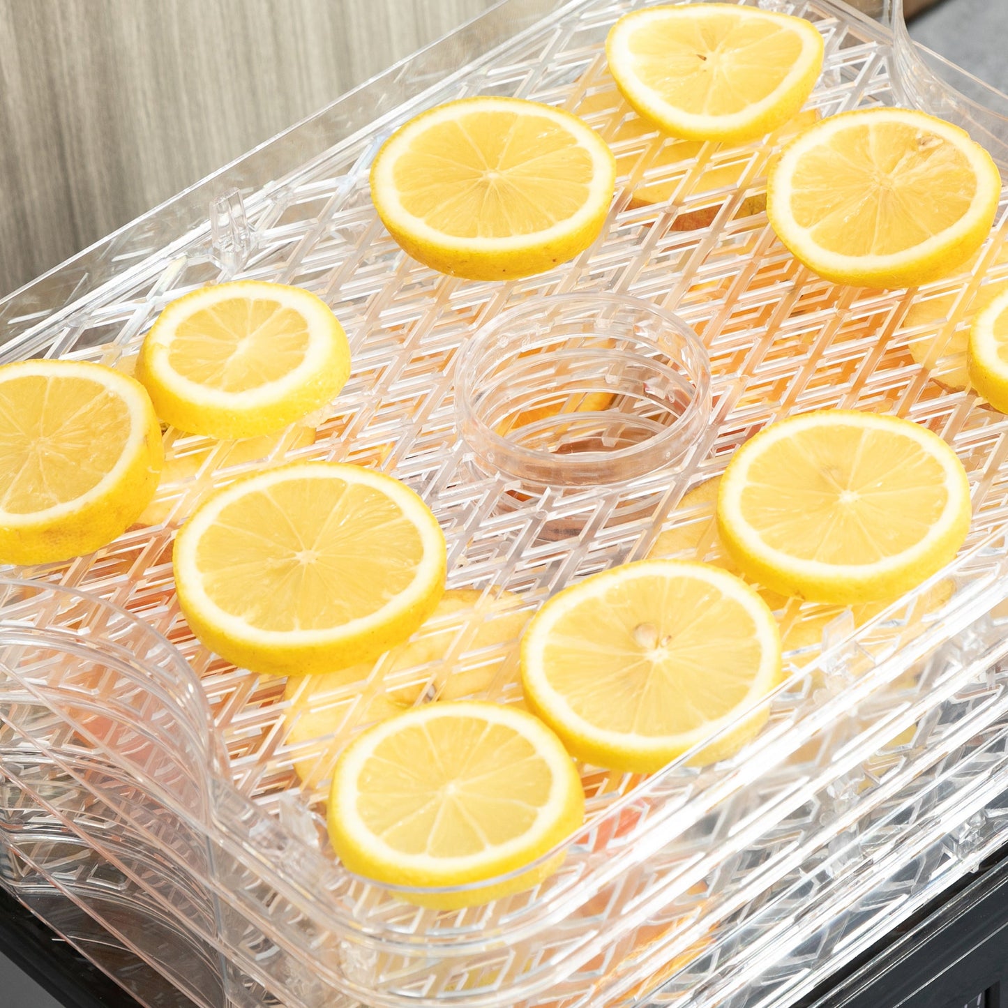 5 Tier Food Dehydrator, 245W Stainless-Steel Food-Dryer with Adjustable Temp, Timer, LCD Display, Drying Fruit, Meat, Veg, Jerky and Pet Treat, Silver