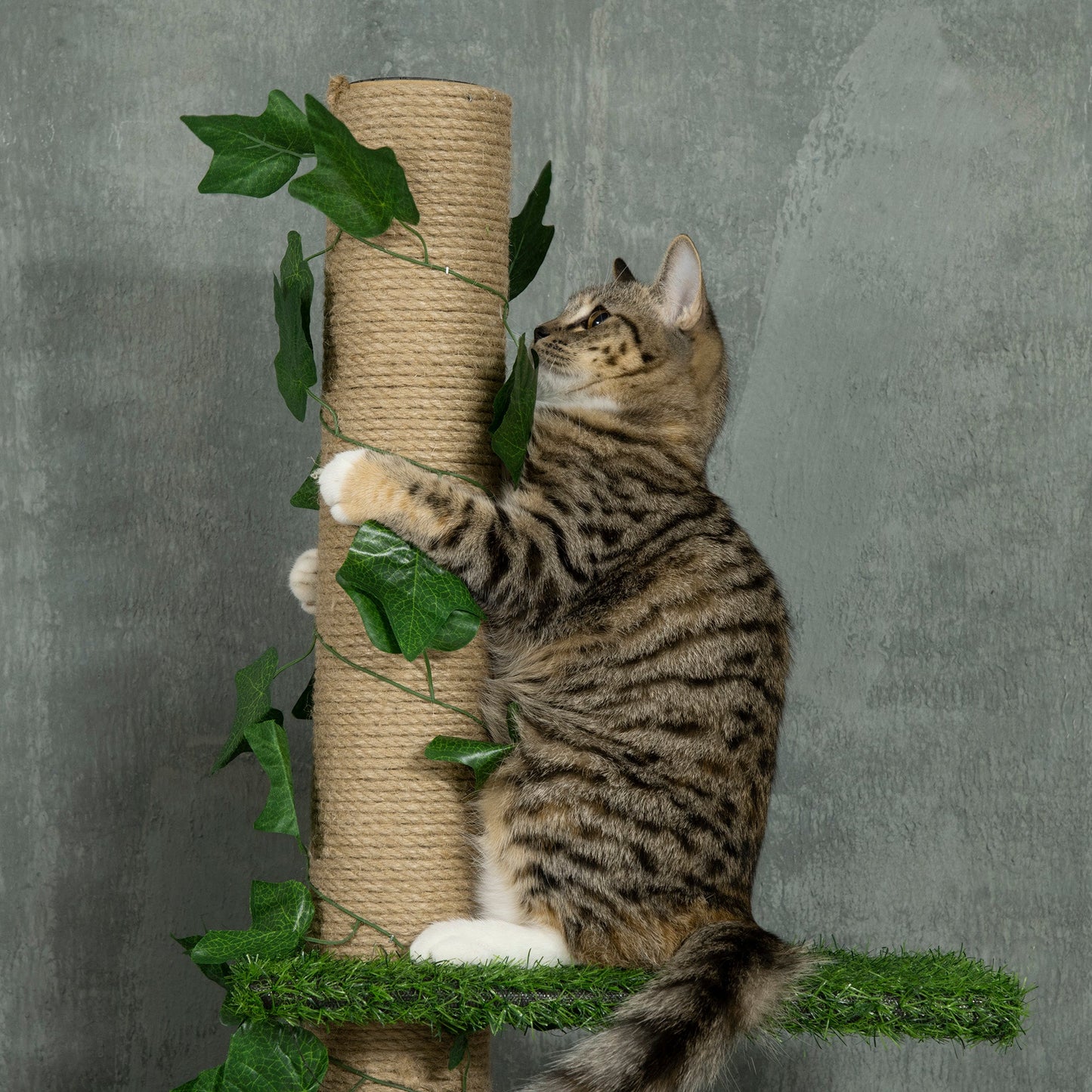 242cm Floor to Ceiling Cat Tree, Height Adjustable Kitten Tower with Anti-slip Kit, Green